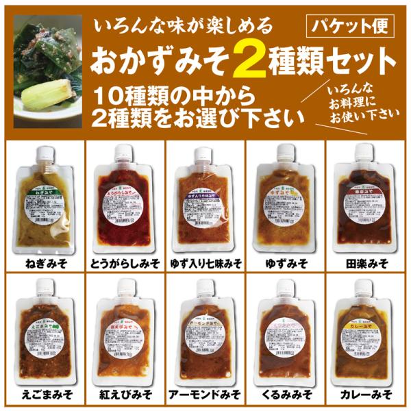 いろんな味が楽しめるおかずみそ１０種類の中から２種類選べるセット 送料無料 パケット便 万能調味料と...