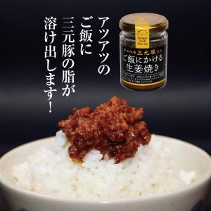 ブランド豚 平田牧場三元豚 ご飯にかける生姜焼き ご飯のお供に