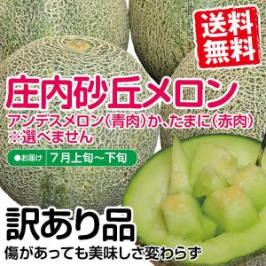 庄内砂丘メロン ワケあり品3〜4個入 送料無料（青のみ、たまに赤が入ります）美味しさは変わりません ご自宅用にどうぞ