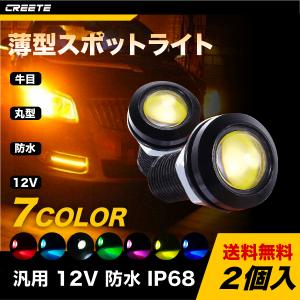 2個セット LED スポットライト イーグルアイ 薄型 ブラック シルバー 18mm  22mm デイライト ボルト型 防水