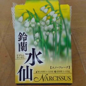 スノーフレーク 球根 2球 スズラン水仙 スイ...の詳細画像1