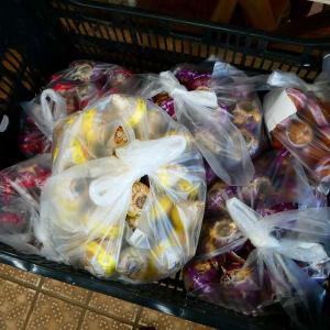 ヒヤシンス 球根 白花 1球 水栽培用 大球 ...の詳細画像2