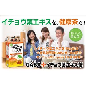 GABA+イチョウ葉エキス茶 GABA ギャバ...の詳細画像2