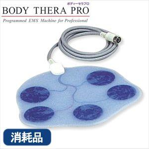 ボディセラプロ 業務用 回転式ポイント通電美容機