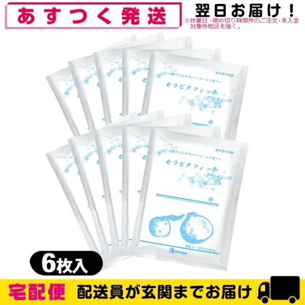 貼付型冷却材 正規代理店 セラピ セラピタフィット(クール) 10x14cm 6枚入り x10袋(合...