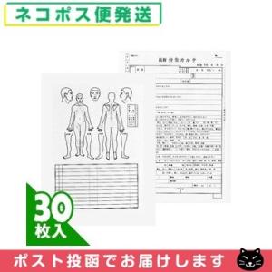 最新針灸カルテ(最新鍼灸カルテ)(しんきゅう) x 30枚入 (B5・A4指定)(SS-104) 「...