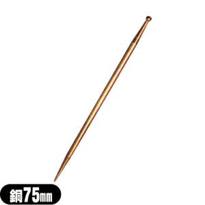 チタンてい鍼（Lサイズ：13cm） 前田豊吉商店＜宅急便発送＞ てい針