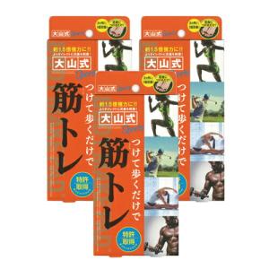 大山式ボディメイクパッド スポーツ(Body Make Pad Sports) (旧 プロ PRO) x3個 「ネコポス送料無料」「当日出荷」｜showa69