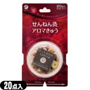 電子温灸器(おんきゅうき) CS-2000(SO-116) 爆買 : SHOWA 年中無休