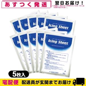 冷却材 大石膏盛堂 アイシングシートL(14x20cm) 5枚入り