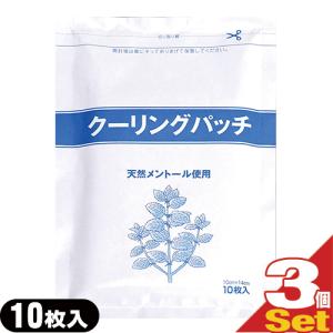 クーリングパッチ 10x14cm 10枚入り x...の商品画像