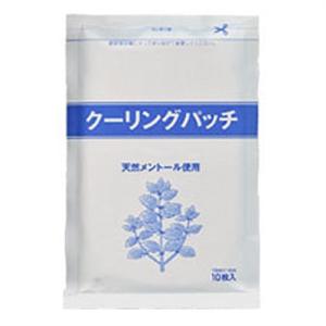 クーリングパッチ 10x14cm 10枚入り ...の詳細画像1