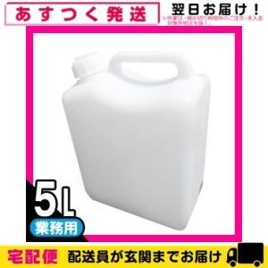 潤滑剤ローション 業務用 クリア ローション(Clear Lotion) 5L ポリタンクタイプ 潤...