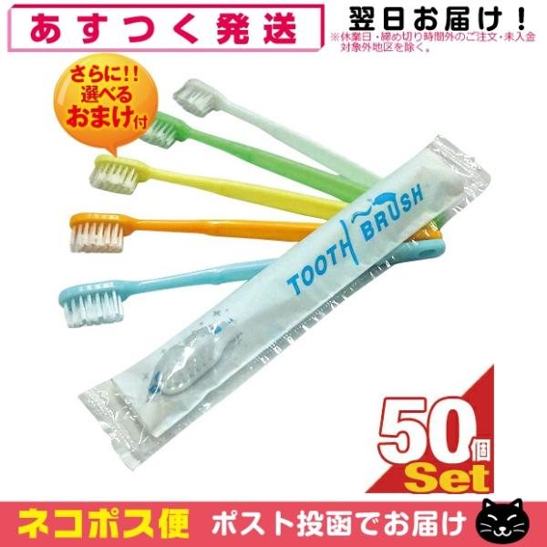 ホテルアメニティ 使い捨て歯ブラシ 個包装タイプ 業務用 粉付き歯ブラシ x50本 (全5色から当店...