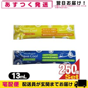 一般医療機器 家庭用貼付型接触粒 伊藤超短波 ゲルマ・イオネット