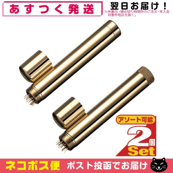 集毛鍼 集毛針 ゴールド x2個 強・弱選択 小児鍼 カナケン しゅうもうしん しょうにしん +レビ...