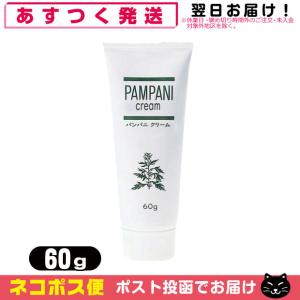 パンパニ クリーム パンパニクリーム アンズコーポレーション 60g PAMPANI cream「ネコポス送料無料」｜showa69