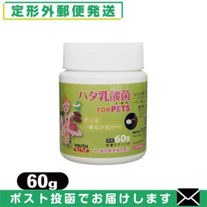 リニューアル 生菌数1.5倍UP ペット用食品 LCH ハタ乳酸菌 for PET 60g 「メール便定形外送料無料」「当日出荷(土日祝除)」｜SHOWA 年中無休 土日祝日も発送