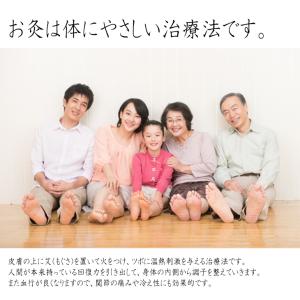 業務用 もぐさ・お灸 艾 any キネフィット...の詳細画像2