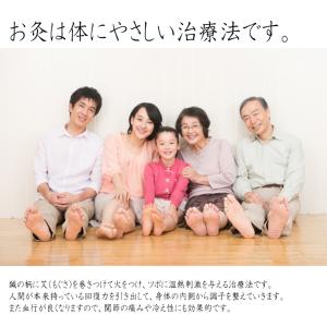 灸頭鍼用 もぐさ お灸 艾 any キネフィッ...の詳細画像2