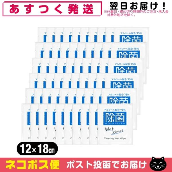 ホテルアメニティ 業務用使い捨てアルコール配合ウェットシート(おてふき)x60個 セット 「ネコポス...