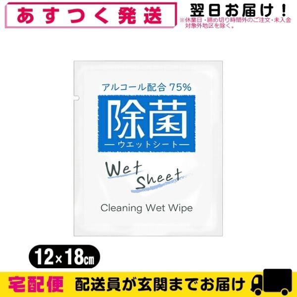 ホテルアメニティ 業務用使い捨てアルコール配合ウェットシート(おてふき)