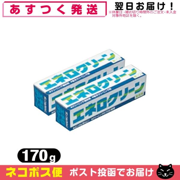 洗濯石鹸 カミナガ販売(KAMINAGA) エネロクリーン 170g (収納ネット付) x 2箱セッ...