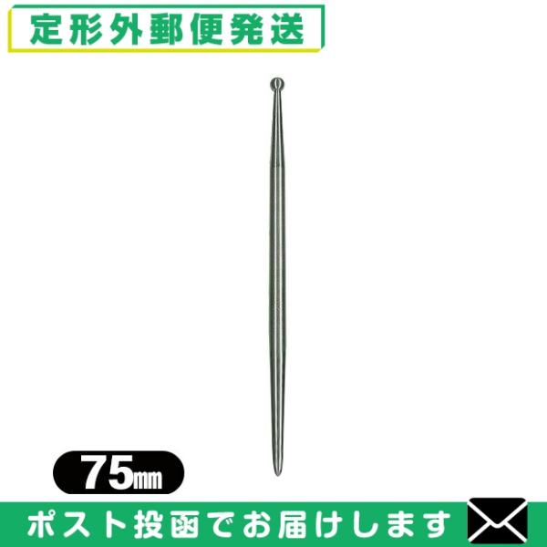 接触鍼 前田豊吉商店 小里式てい鍼 チタン(ていしん/錠針/テイ鍼/テイ針/てい針/錠鍼) 75cm...