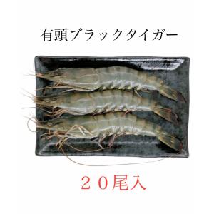 海老 ブラックタイガー 有頭 殻付えび 20尾入 NET1.3kg 冷凍 業務用 BT から付き 蝦 BBQ バーベキュー 浜焼き 中華食材にも｜厳選ショップSHOWA-Yahoo店