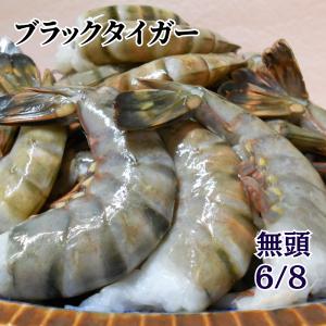 特大 ブラックタイガー 無頭 8/12 冷凍 殻付えび 1.8kg 殻付き海老