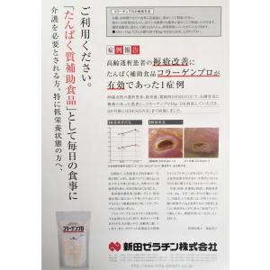 新田ゼラチン コラーゲンプロ 粉末 300g×...の詳細画像2
