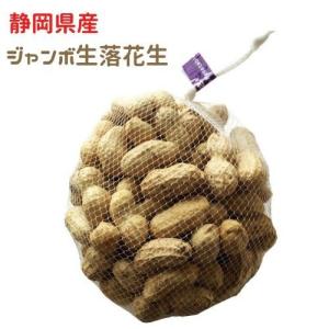 令和5年度 殻付き 生落花生 特大 ジャンボサイズ 約1kgネット