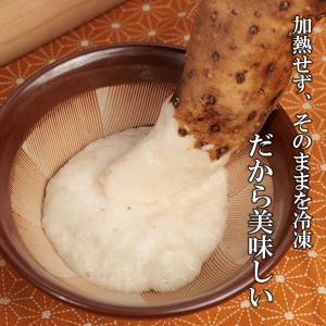冷凍 やま芋 40g×20個入 マルコーフーズ...の詳細画像2