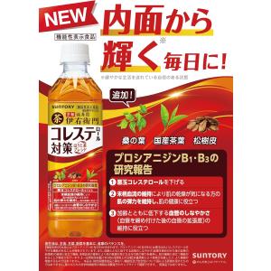 (セール)「48本」 伊右衛門プラス コレステ...の詳細画像5