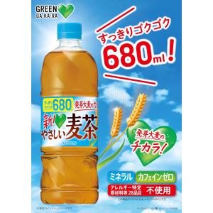 【セール】 「48本」 やさしい麦茶 680m...の詳細画像3