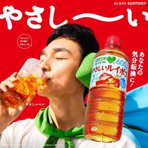 【セール】 「48本」 やさしいルイボス 60...の詳細画像3