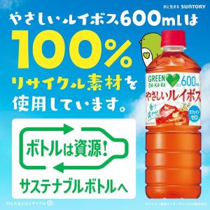 【セール】 「48本」 やさしいルイボス 60...の詳細画像5