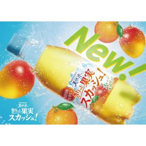 「48本」 きりっと果実スカッシュ オレンジ&...の詳細画像5