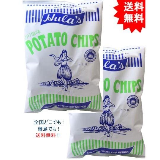 【送料無料】【2袋セット】フラ印 アメリカンポテトチップス のり塩味 160g【お届けまで約１週間】