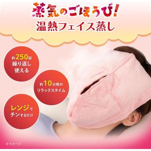 【1個】あずきのチカラ フェイス蒸し【送料無料...の詳細画像4