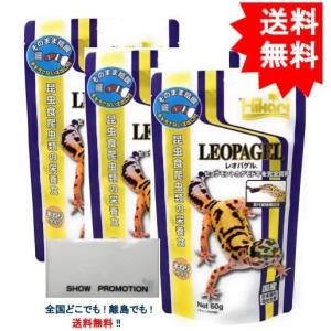 生き餌 コオロギ Sの商品一覧 通販 Yahoo ショッピング