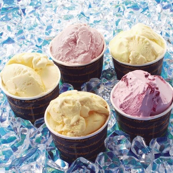 銀座千疋屋 銀座プレミアムアイス PGS-036 （送料無料）【直送品】【Y便】