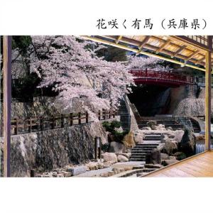 お風呂のポスター 風景 日本の名湯 お風呂に貼...の詳細画像2