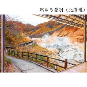 お風呂のポスター 風景 日本の名湯 お風呂に貼...の詳細画像4