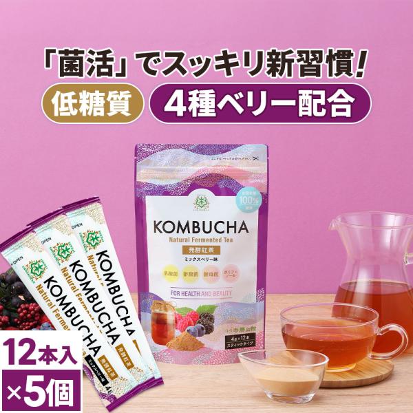 仙台勝山館 発酵紅茶 コンブチャ スティック ミックスベリー味 (4g×12本) 5個 | 風味豊か...