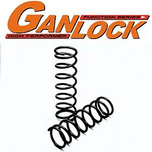 GANLOCK コイルスプリング・ランドクルーザー74系・80mmアップ(フロント)