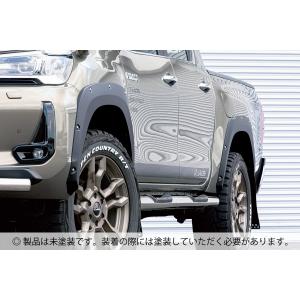 JAOS（ジャオス） フェンダーガーニッシュ type-X 塗装品 マット