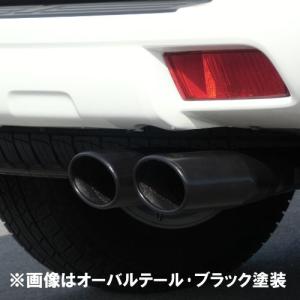 RICK'S エアロマッドガード リア・ランドクルーサー150プラド : シュー