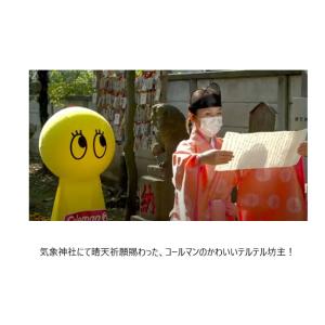 コールマン[Coleman]サンシャインキャッ...の詳細画像4