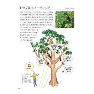 [SATOC BOOKS]TREE ANCHO...の詳細画像2